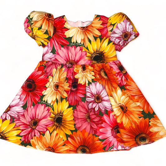 Dolce & Gabbana Sunflower Dress & Bloomer