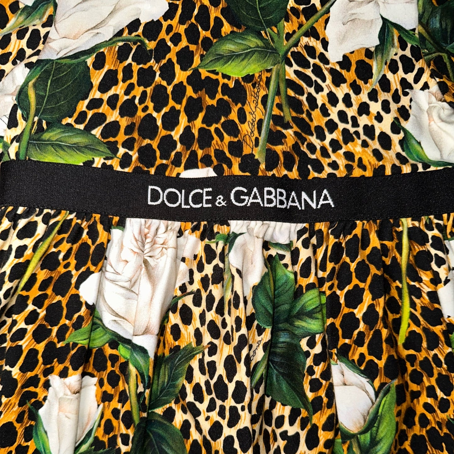 Dolce & Gabbana Ocelet and Rose Dress & Bloomers